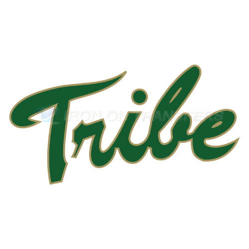 William and Mary Tribe Logo T-shirts Iron On Transfers N7006